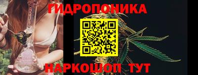 бошки Краснодар